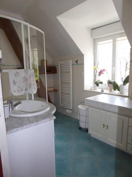 Maison Entiere Independante Noyers-sur-Serein Εξωτερικό φωτογραφία